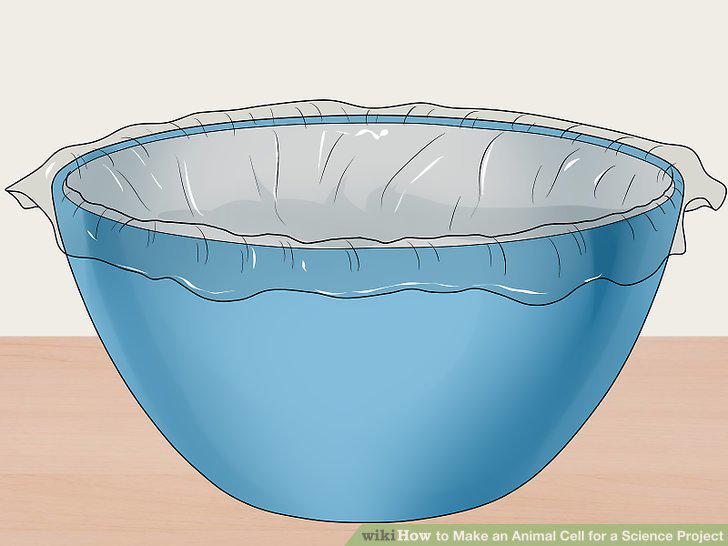 Step 6