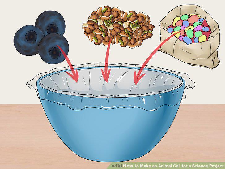 Step 8