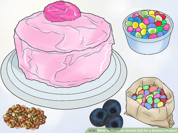 Step 10