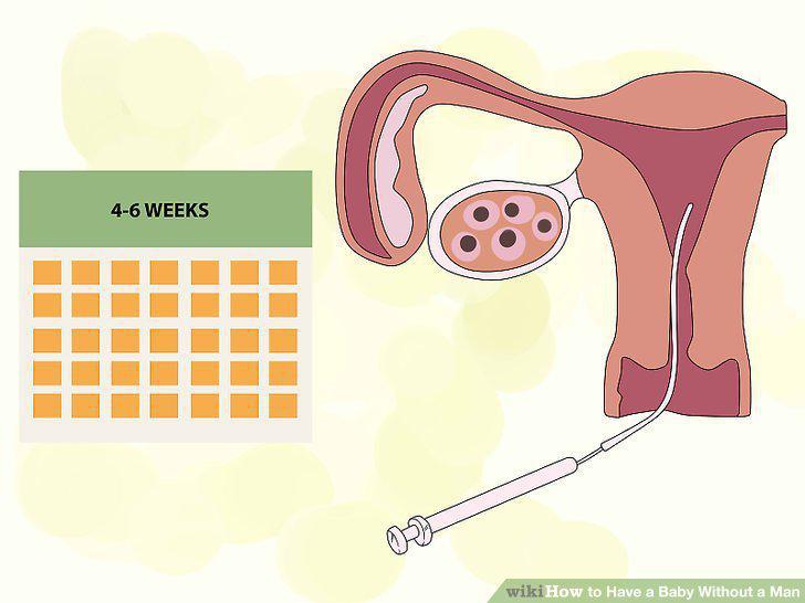 Step 12
