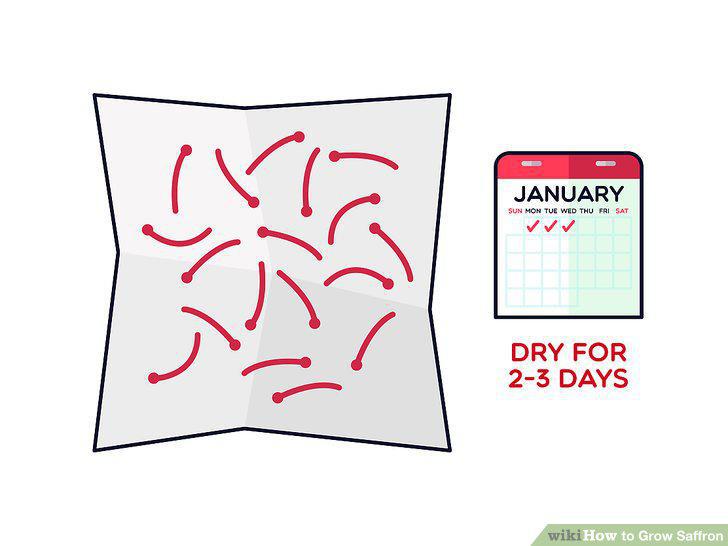 Step 12
