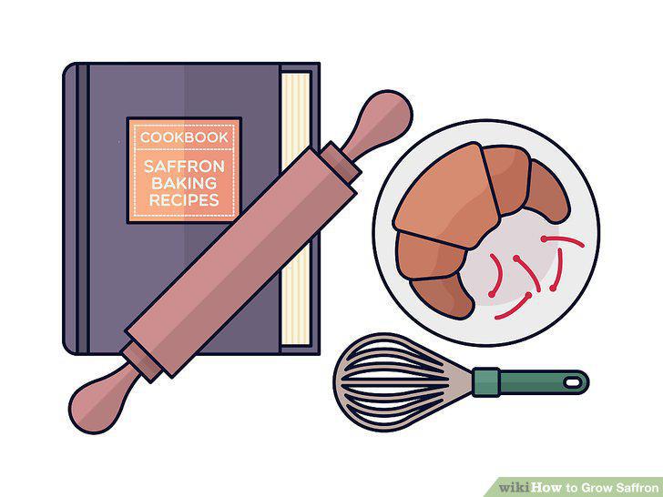 Step 13