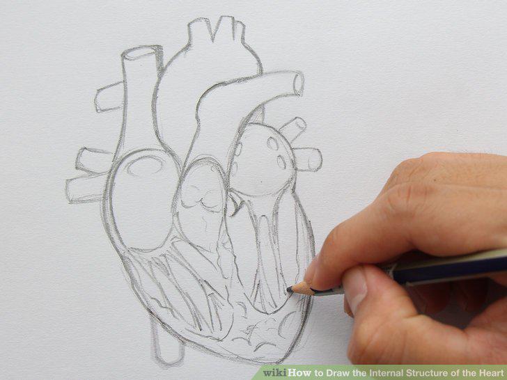 Step 11