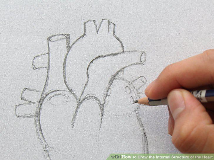 Step 10