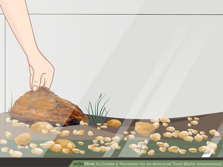 Step 8
