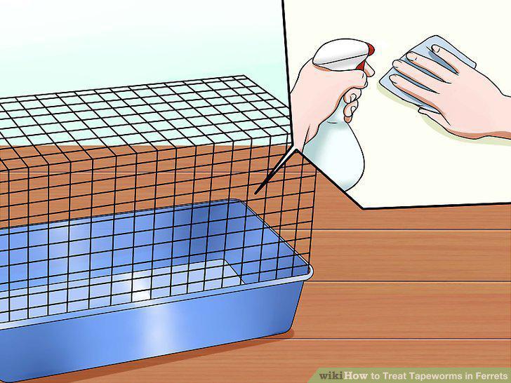 Step 7
