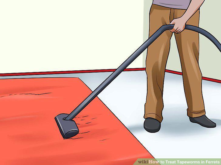 Step 8