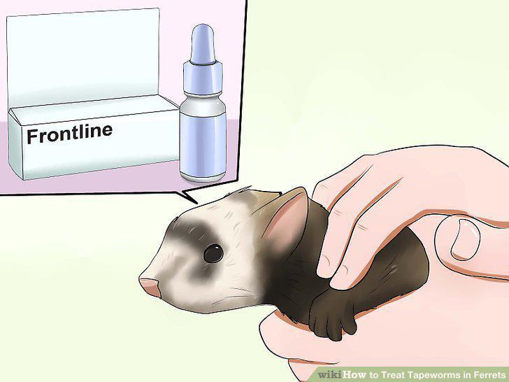Step 9