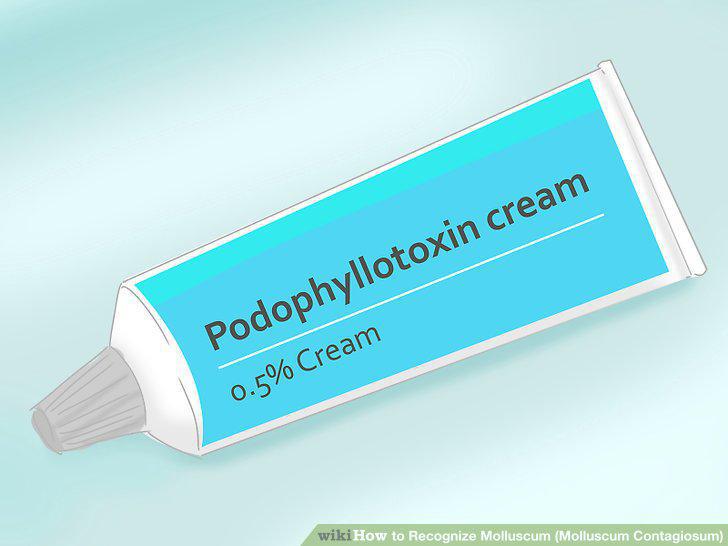 Step 11