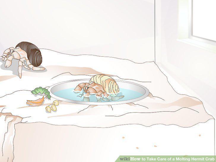 Step 2