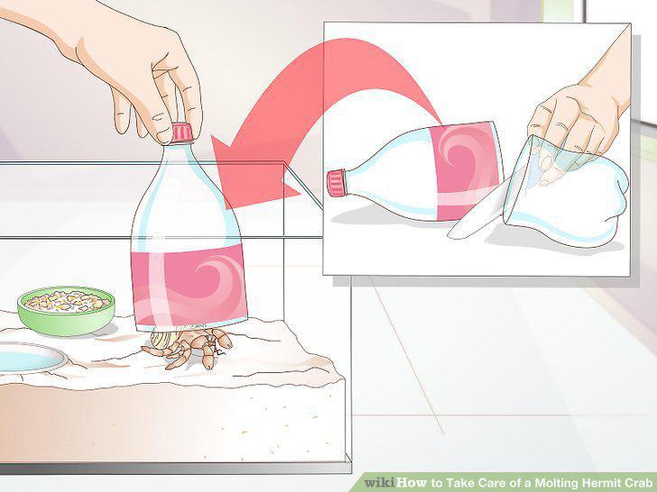 Step 11