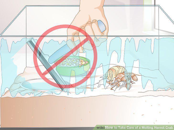 Step 12