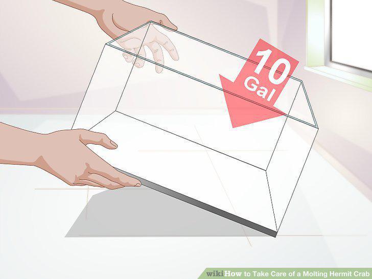Step 4