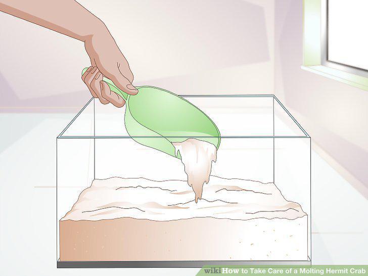 Step 5