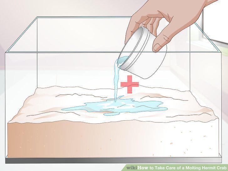 Step 6