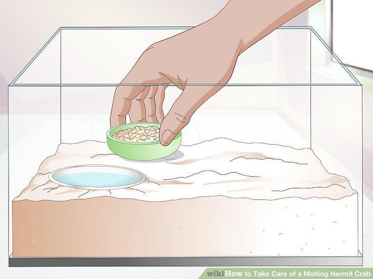 Step 7