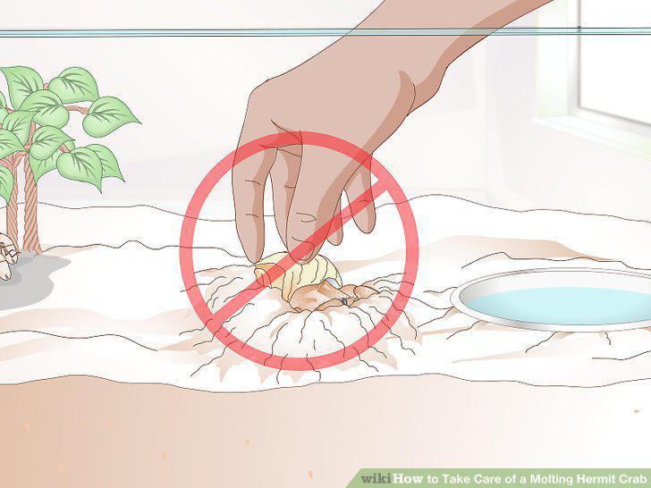 Step 8