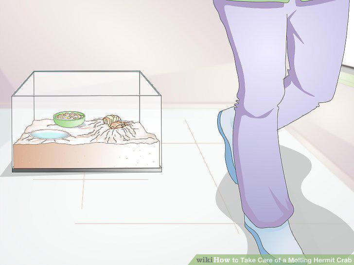 Step 9