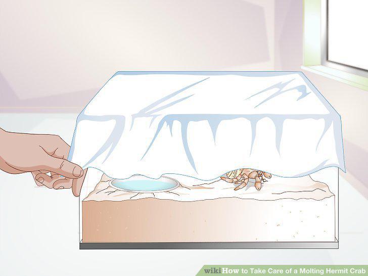 Step 10