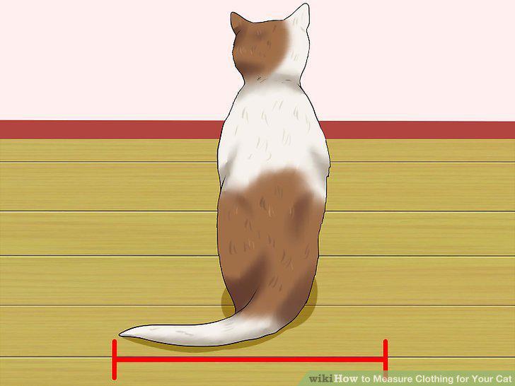 Step 3