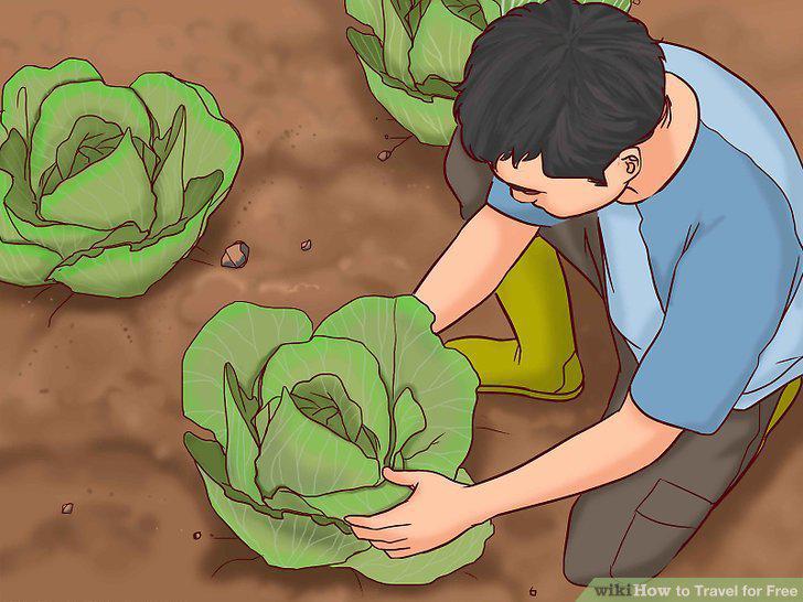Step 21