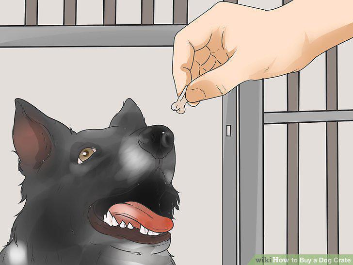 Step 11