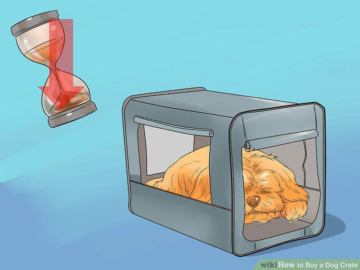 Step 15