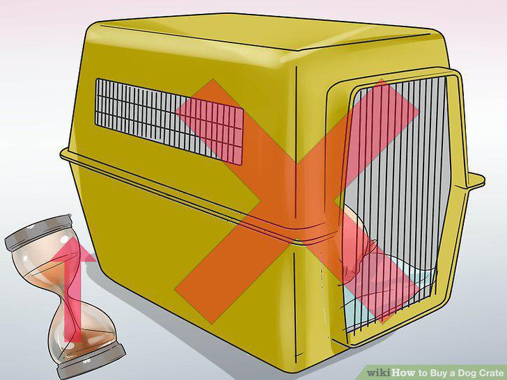 Step 16
