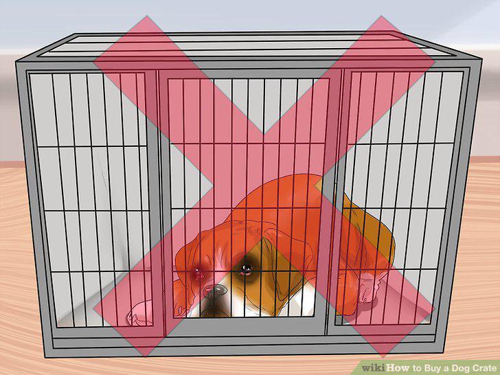 Step 17