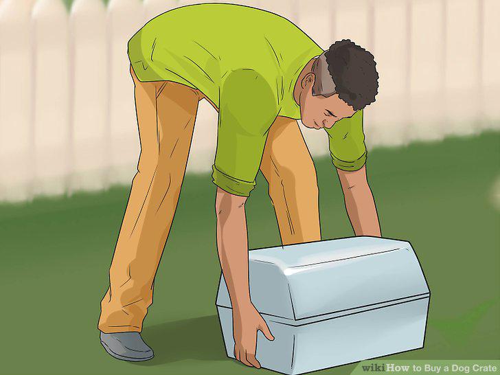 Step 9