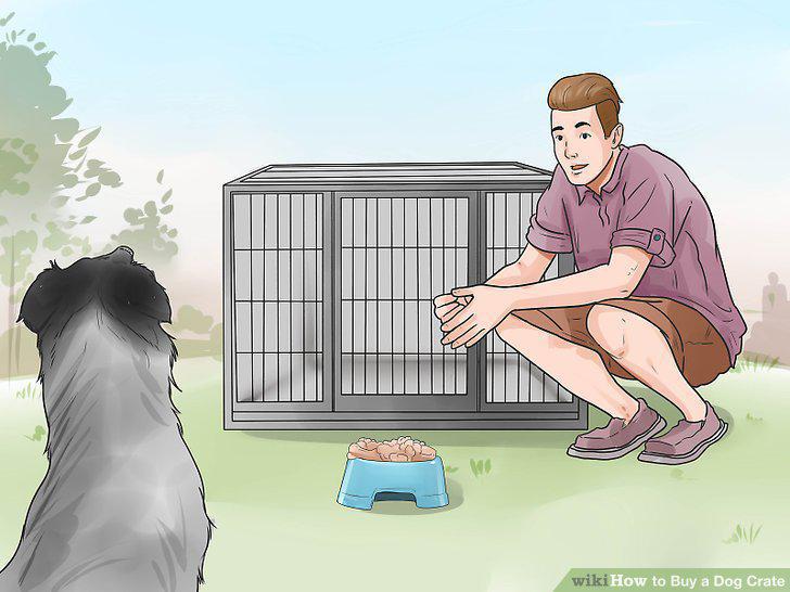 Step 10