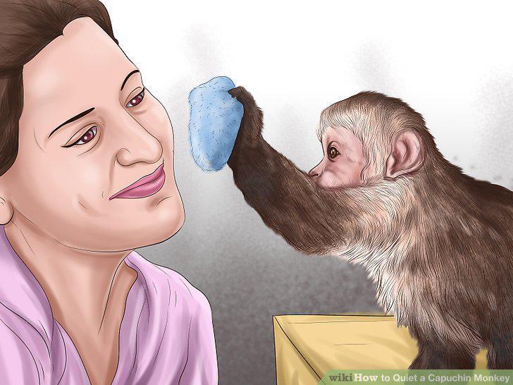 Step 11