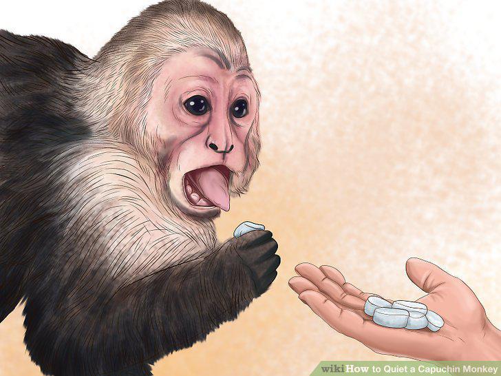 Step 12