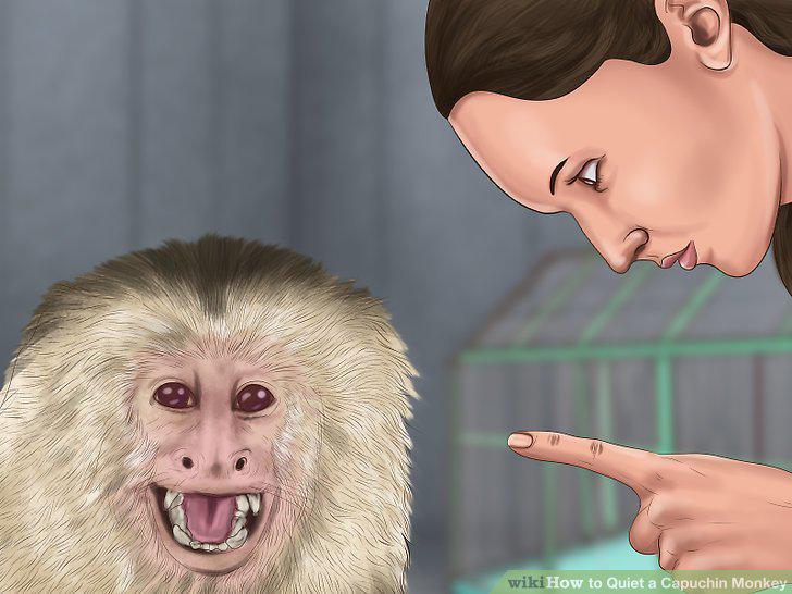 Step 14