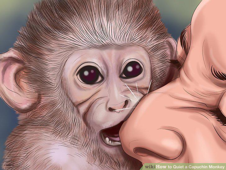 Step 15