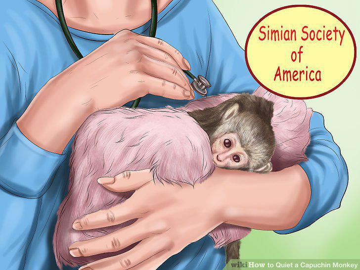 Step 17