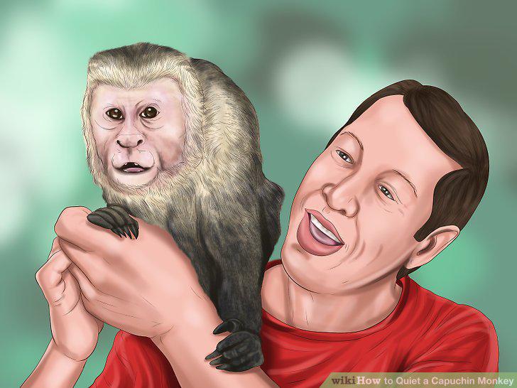Step 10