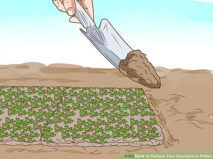 Step 13