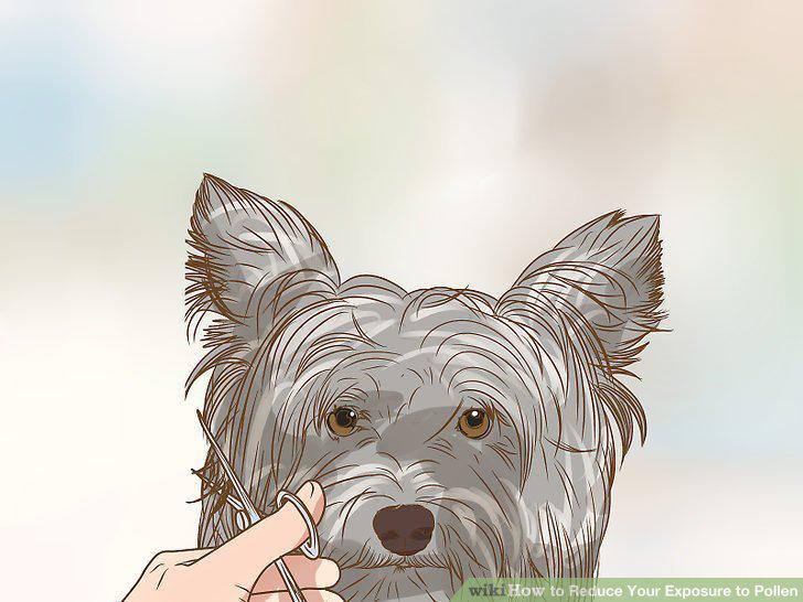 Step 10