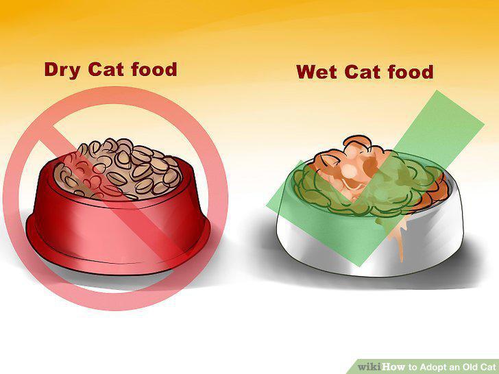 Step 12