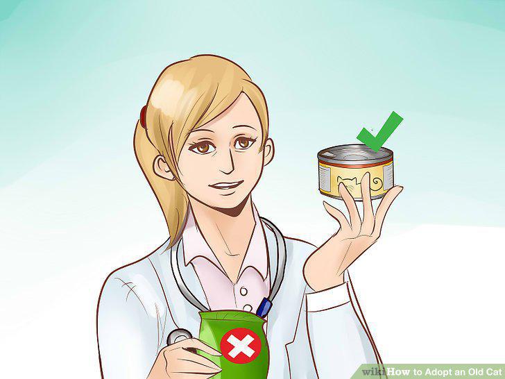 Step 13