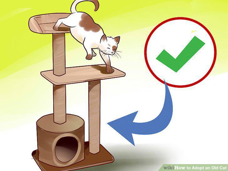 Step 14
