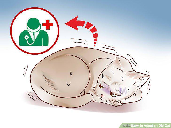 Step 15