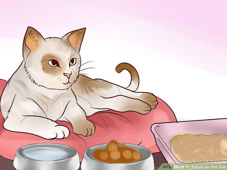 Step 10
