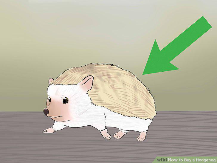 Step 13