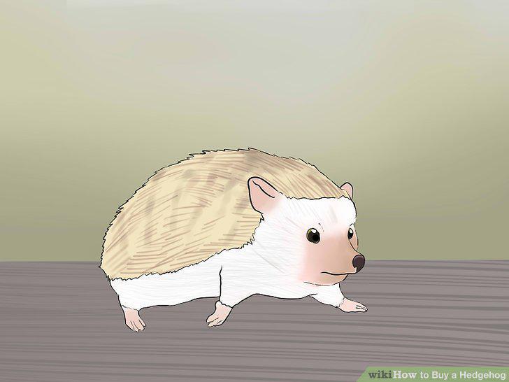 Step 14