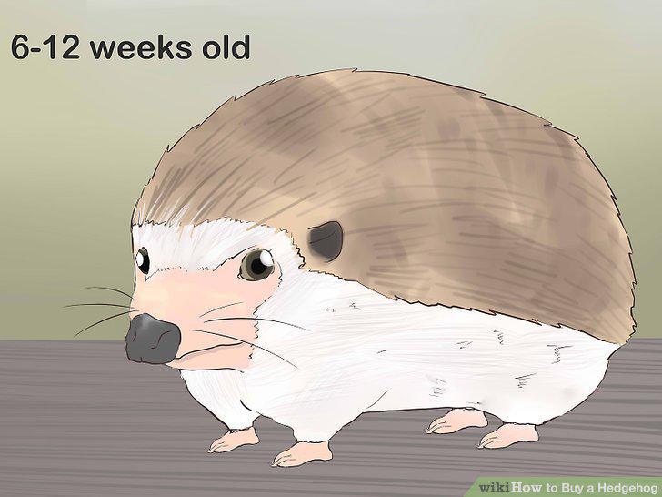 Step 6
