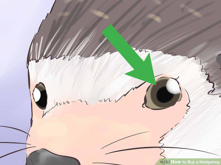 Step 10