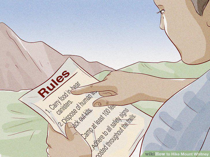 Step 10