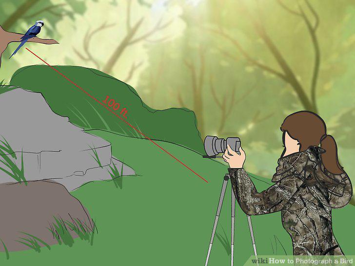 Step 12